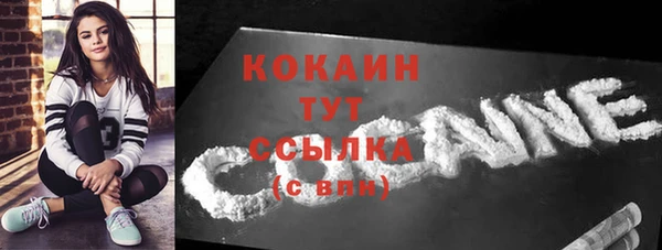 герыч Пересвет
