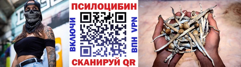 Псилоцибиновые грибы мицелий Струнино